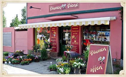 Ladenfront der Blumenbiene in der Chemnitzer Straße: rosa Fassade, weinrote Schilder, gestreifte Markise und Blumen vor der Tür